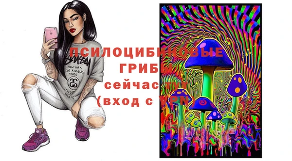 каннабис Богородицк