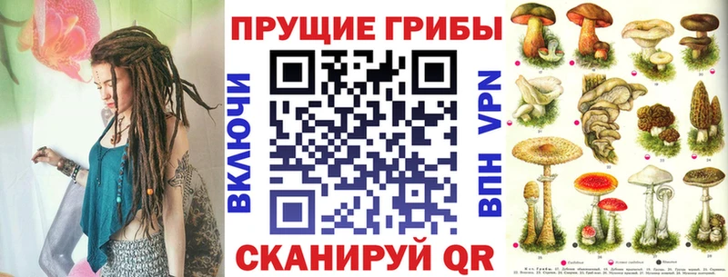 Галлюциногенные грибы GOLDEN TEACHER  blacksprut маркетплейс  Кочубеевское 